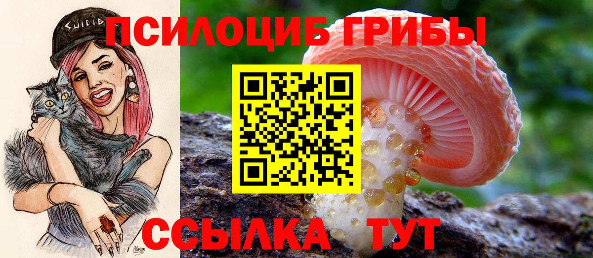 Псилоцибиновые грибы MAGIC MUSHROOMS Новочеркасск