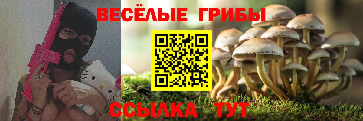 Псилоцибиновые грибы Psilocybe  Галлюциногенные грибы Psilocybe  Вход с VPN  Новочеркасск 